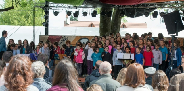 Concert École de musique à Festicolor 2015 ® Pierre Derouette