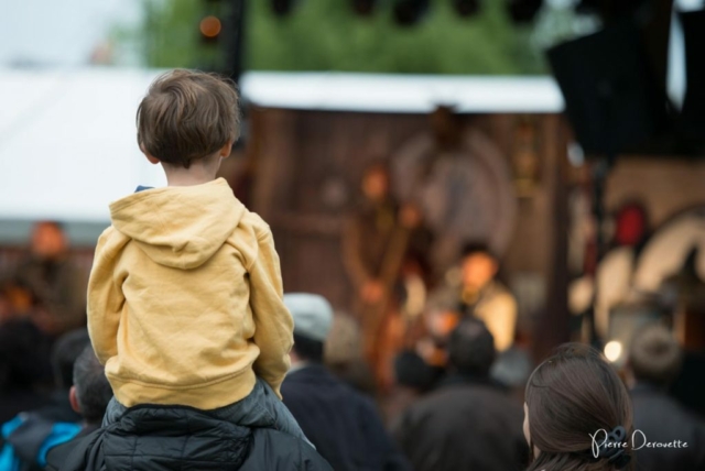 Concert vendredi à Festicolor 2015 ® Pierre Derouette