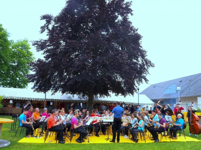 Concert Harmonie à Festicolor 2016 ® Clodelle 45